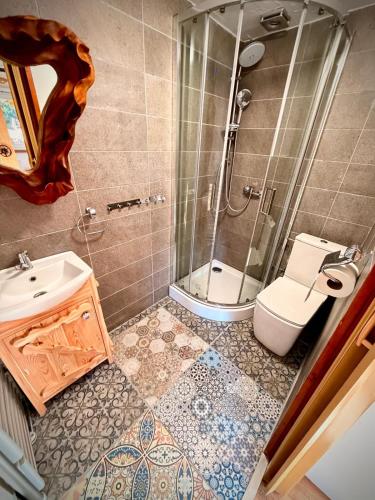 a bathroom with a shower and a toilet and a sink at Domek KALINKA -Góry Sowie-Rzeczka in Rzeczka