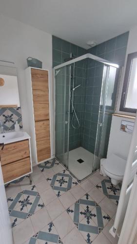 a bathroom with a shower and a toilet and a sink at Port de la paix in Biganos
