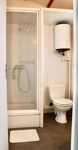 a bathroom with a toilet and a shower with a glass door at Chalet Mauzac- Piscine- Domaine Paisible in Rivières