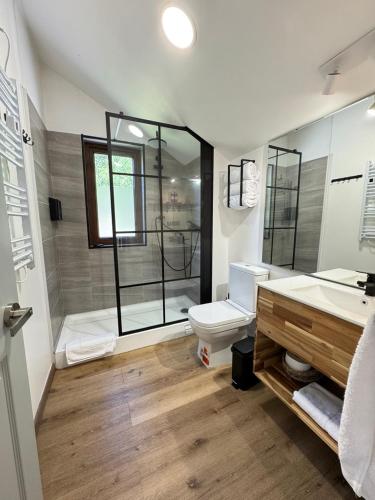 a bathroom with a toilet and a sink and a shower at Refugio entre Montañas - Malalcahuello in Malalcahuello