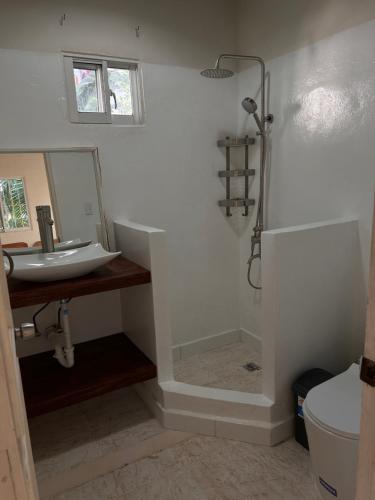 a bathroom with a shower and a sink and a mirror at Oasis Cabarete Guesthouse in San Felipe de Puerto Plata
