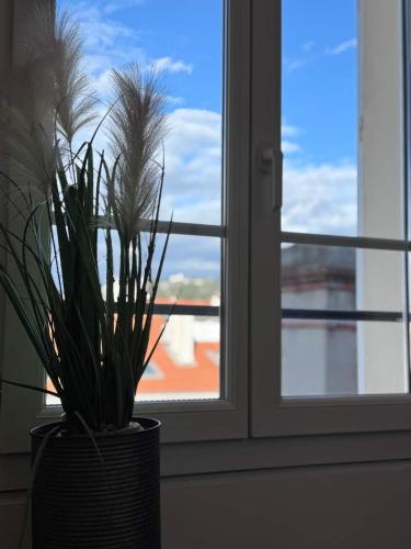 Studio lumineux, Centre ville, Palais Festivals