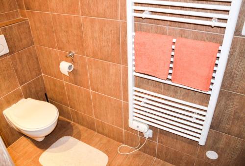a bathroom with a toilet and a towel rack at Cihlářka - Apartmán 309 in Pec pod Sněžkou