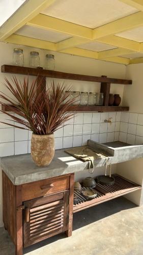 a kitchen with a counter with a potted plant on it at Em Cá Gỗ Farmstay in Phước Bình