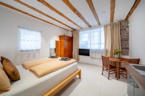 a bedroom with a bed and a desk and a table at Gardar Studio Fox in Bolzano