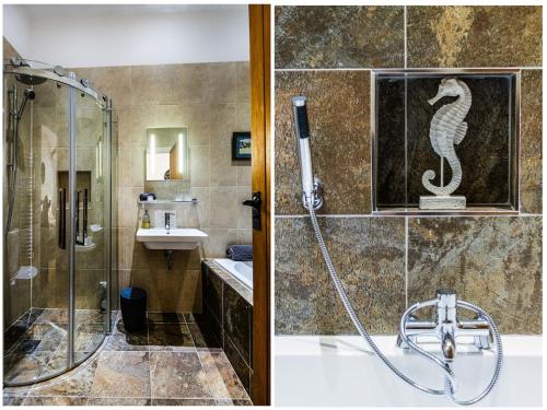a bathroom with a shower with a seahorse on the wall at The Granary at Little Howle Farm in Ross on Wye
