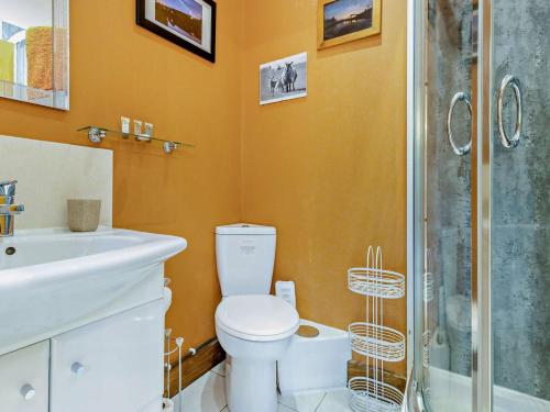 a bathroom with a toilet and a sink and a shower at 1 Bed in Llangammarch Wells oc-bn216 in Garth