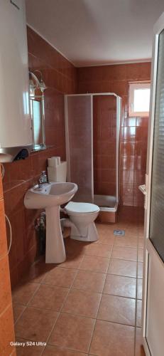 a bathroom with a toilet and a sink and a shower at Vila Two in Cârțișoara