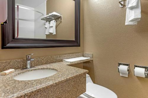 a bathroom with a sink and a toilet and a mirror at Red Roof Inn Lumberton in Lumberton