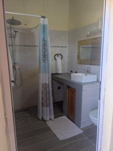 a bathroom with a sink and a shower at Kasbah Ait ben Damiette in Skoura