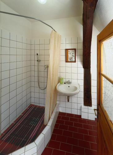 a bathroom with a shower and a sink at Penzion Na Louži in Český Krumlov