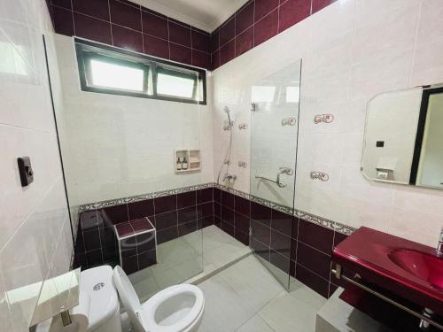 a bathroom with a shower and a toilet and a sink at Ornella Villa in Yogyakarta