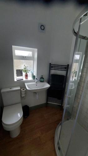 a bathroom with a toilet and a sink and a mirror at Harrys Hideaway Cottage in Haworth
