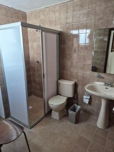 a bathroom with a toilet and a shower and a sink at Casa del Árbol Querétaro in Querétaro