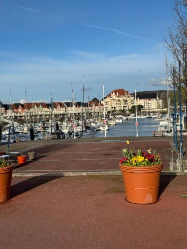 two pots of flowers inront of a marina at Escapade Romantique- Vue Port et Balcon Ensoleillé in Dives-sur-Mer
