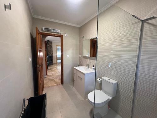 a bathroom with a toilet and a sink and a mirror at Casa Noel in Ciudad Quesada