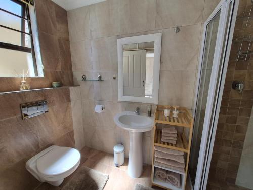 a bathroom with a sink and a toilet and a mirror at Somerset Garden Studio in Somerset West