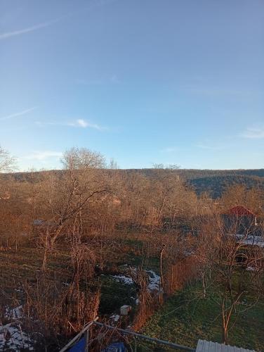 Blick auf ein Feld mit Bäumen und einer Brücke in der Unterkunft Beloved Home in Çilǝgir