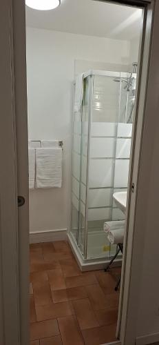 a bathroom with a glass shower and a sink at B&B Teatro in Palermo