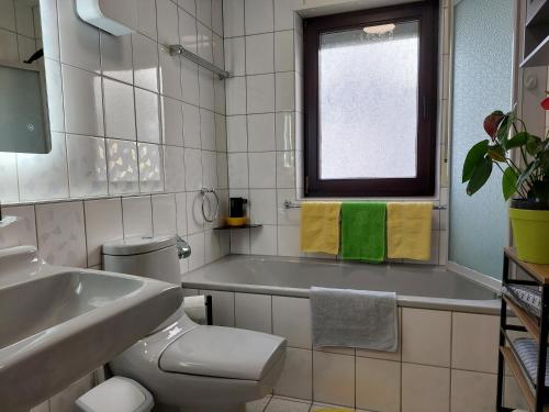 a bathroom with a toilet and a sink and a window at Merziger Fußgängerzone in Merzig