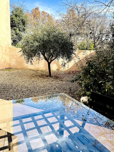 a reflection of a tree in a pool of water at "L'olivier" - Résidence Rive Gauche in Les Salles-sur-Verdon