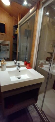 a bathroom with a sink and a shower at Le petit chalet des Vosges proche Gerardmer in Corcieux