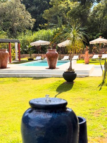 a blue vase sitting in the grass next to a pool at Quinta da Bocaina in Amparo