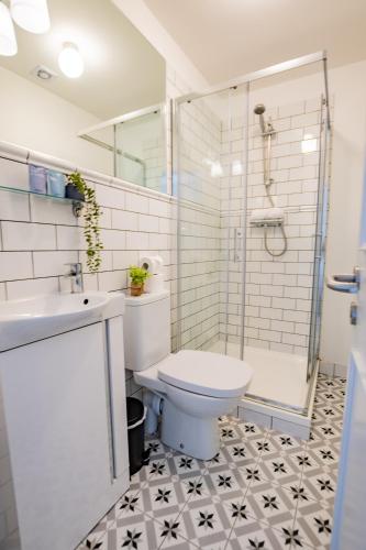 a bathroom with a toilet and a shower and a sink at Superb Marina Hideaway- With kitchen and Wi-Fi in Dublin