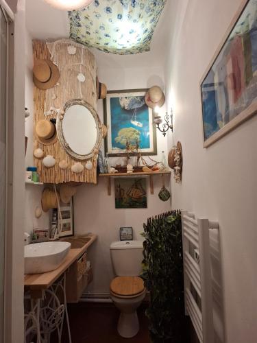 a bathroom with a sink and a mirror and a toilet at La Maison du Chichui in Orgon
