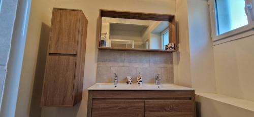 a bathroom with a sink and a mirror at Maison du Gué 2 chambres in Gurgy
