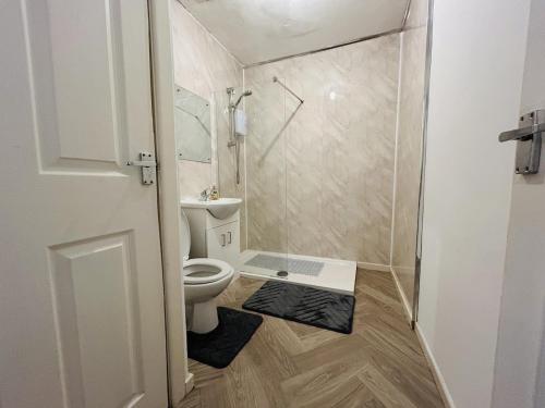 a small bathroom with a toilet and a shower at Cosy Flat - Over Arch in Oswaldtwistle