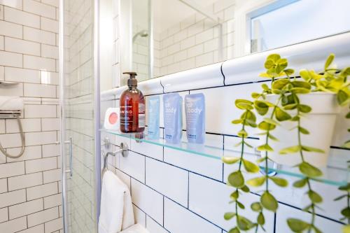 a bathroom with a shelf with soap and a plant at Charming Howth Marina Retreat in Dublin