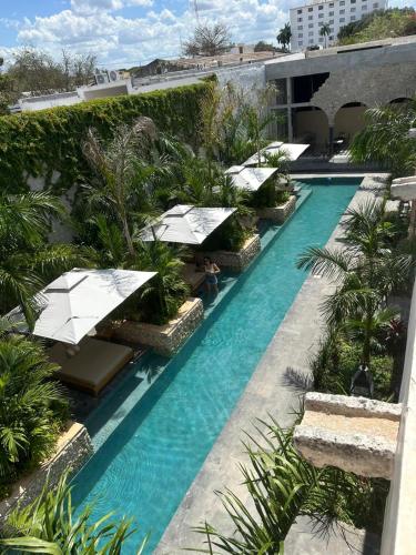 an infinity pool with umbrellas at a resort at Ontico Urban Design Hotel in Mérida