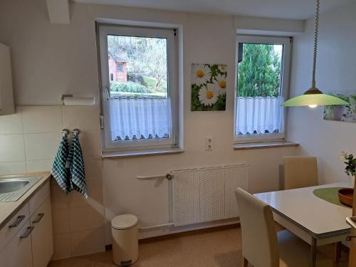 a kitchen with a table and two windows at Haus Lieberum in Bad Sooden-Allendorf