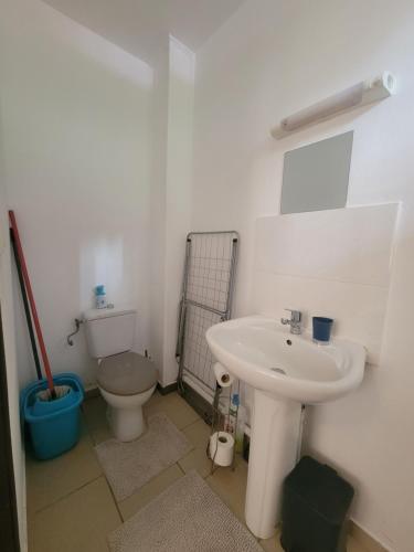 un bagno con lavandino e WC di Bacaba Appart a Cayenne