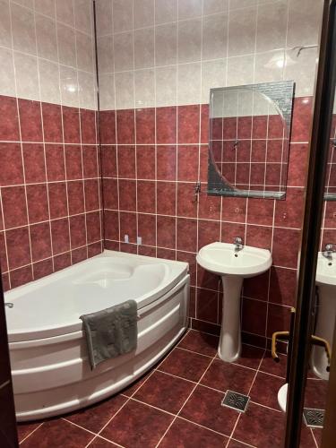 a bathroom with a bath tub and a sink at Vila Maria in Roman