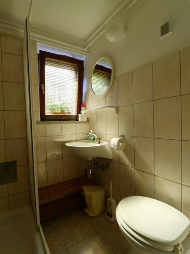 a bathroom with a toilet and a sink at Apartma Rutar in Tolmin