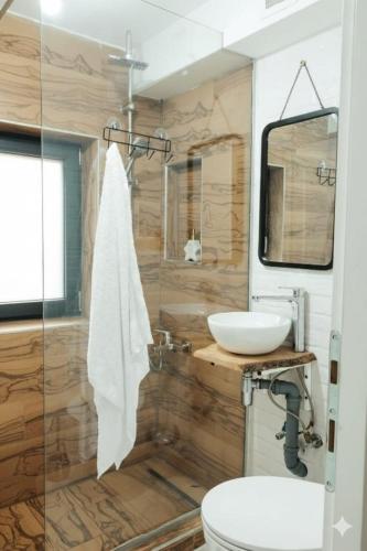 a bathroom with a sink and a toilet at Refugiul Apusenilor in Scărişoara