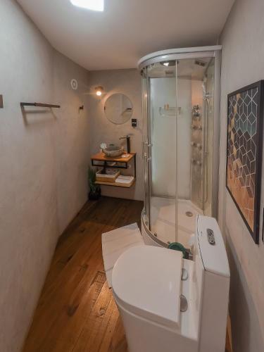 a white bathroom with a shower and a toilet at GOAT LODGE Domo Pitanga in Ibiúna