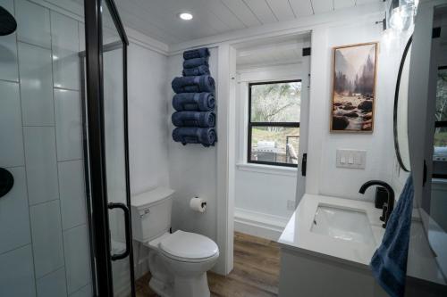 a bathroom with a toilet and a sink at River Falls Retreat in Oakhurst
