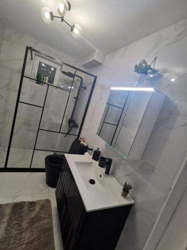 a bathroom with a sink and a mirror at Danube House in Cluj-Napoca