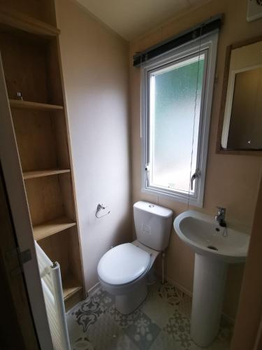 a bathroom with a toilet and a sink and a window at Willows Lodge with self contained garden in Carlisle