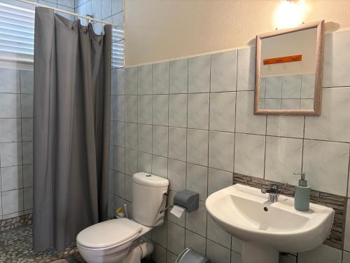 Quartier du Fond FleuriにあるL’Escapadeのトイレと洗面台のあるバスルーム