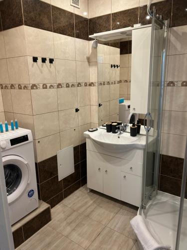 a bathroom with a washing machine and a sink at Włocławek Norwida in Włocławek