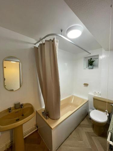a bathroom with a tub and a toilet and a sink at Penrhyn View in Bangor