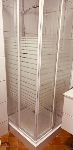 a shower stall with glass doors in a bathroom at Maisonette am See in Seedorf