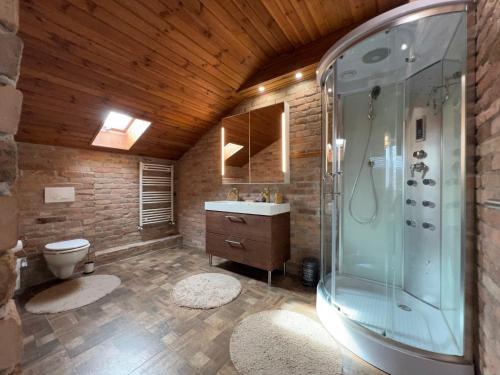 a bathroom with a shower and a sink and a toilet at Gold Horse Vendégház in Szilvásvárad
