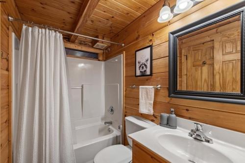 a bathroom with a sink and a toilet and a tub at The Racoons Nest in Copperhead Lodge in Blairsville