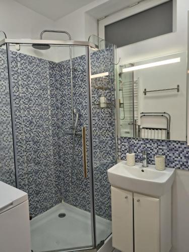 a bathroom with a shower and a sink at Studio Nice in Old Town Tonitza in Bucharest