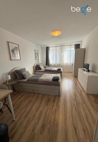 a bedroom with a bed and a desk in it at BEGE APARTMENTS SmartLoft in Hof